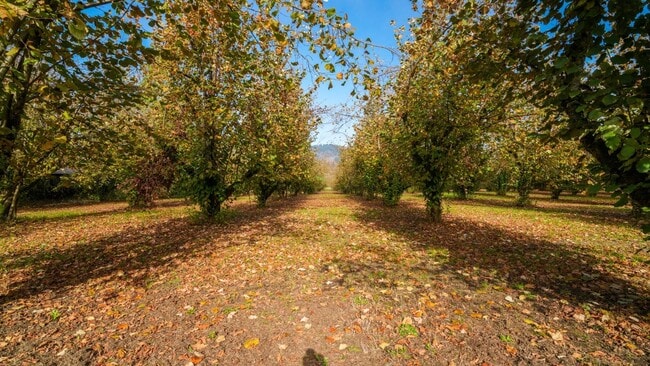 Building Photo - 3120 Hayden Bridge Rd