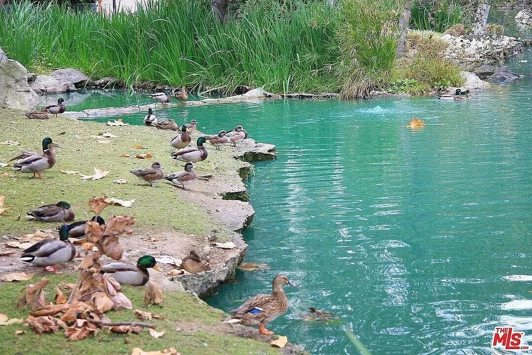 Lake - 3113 Raintree Cir