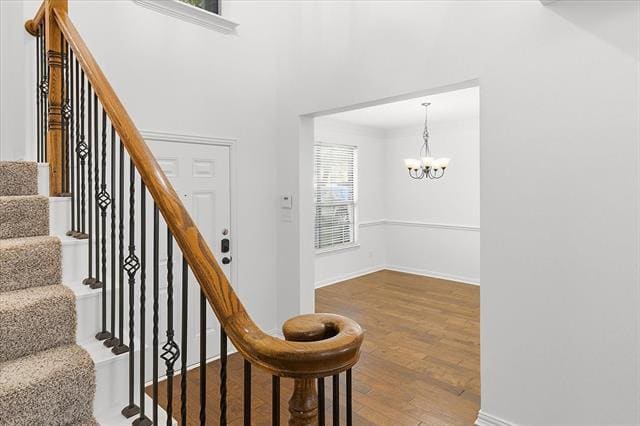 Building Photo - 713 Chandler Ct