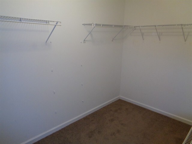 Building Photo - 1387 Belfaire Lake Trl