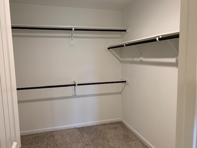 Building Photo - 8219 Ivy Wood Ct