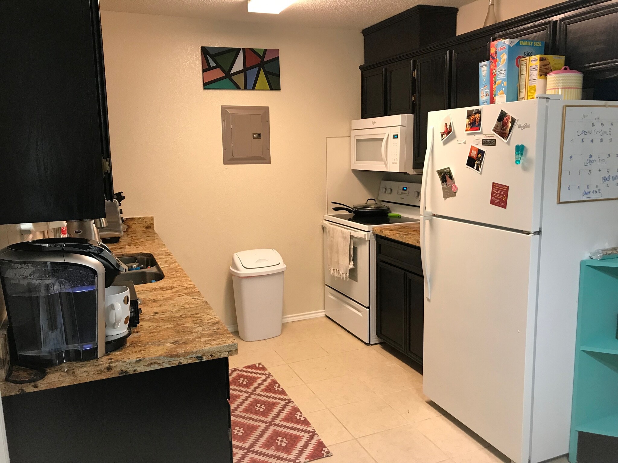 Newly remodeled kitchen with built in microwave, stove, dishwasher, refrigerator. - 1801 Lexington Circle