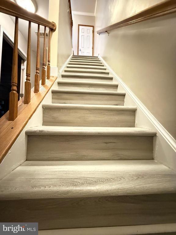 Building Photo - 208 Rugby Rd