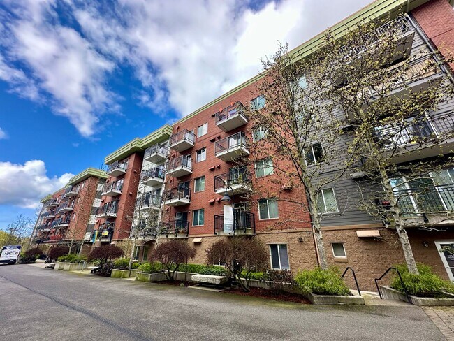 Primary Photo - Ready Now! 1 Bedroom Condo located in Down...