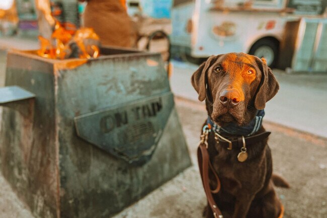 Building Photo - 525 SE Gleneden Place