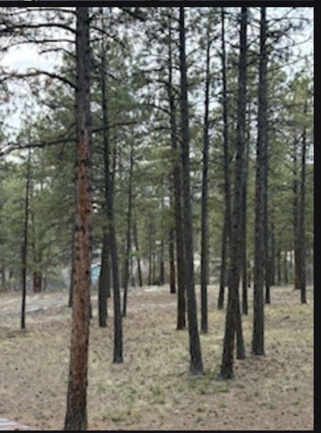 Building Photo - Barnview Country Haven