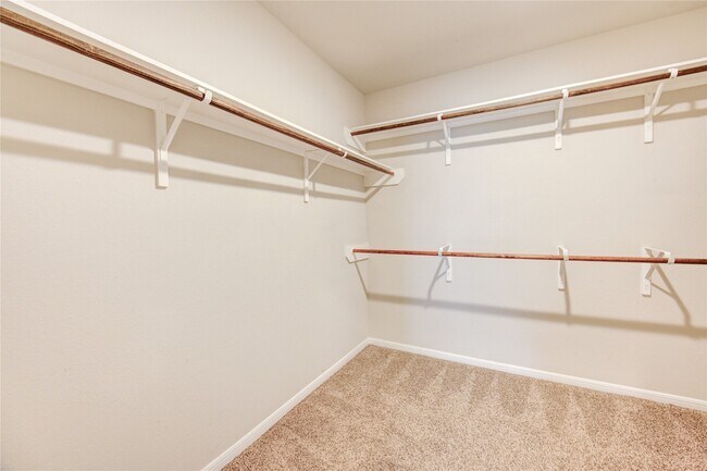 Building Photo - 3027 Dripping Springs Ct