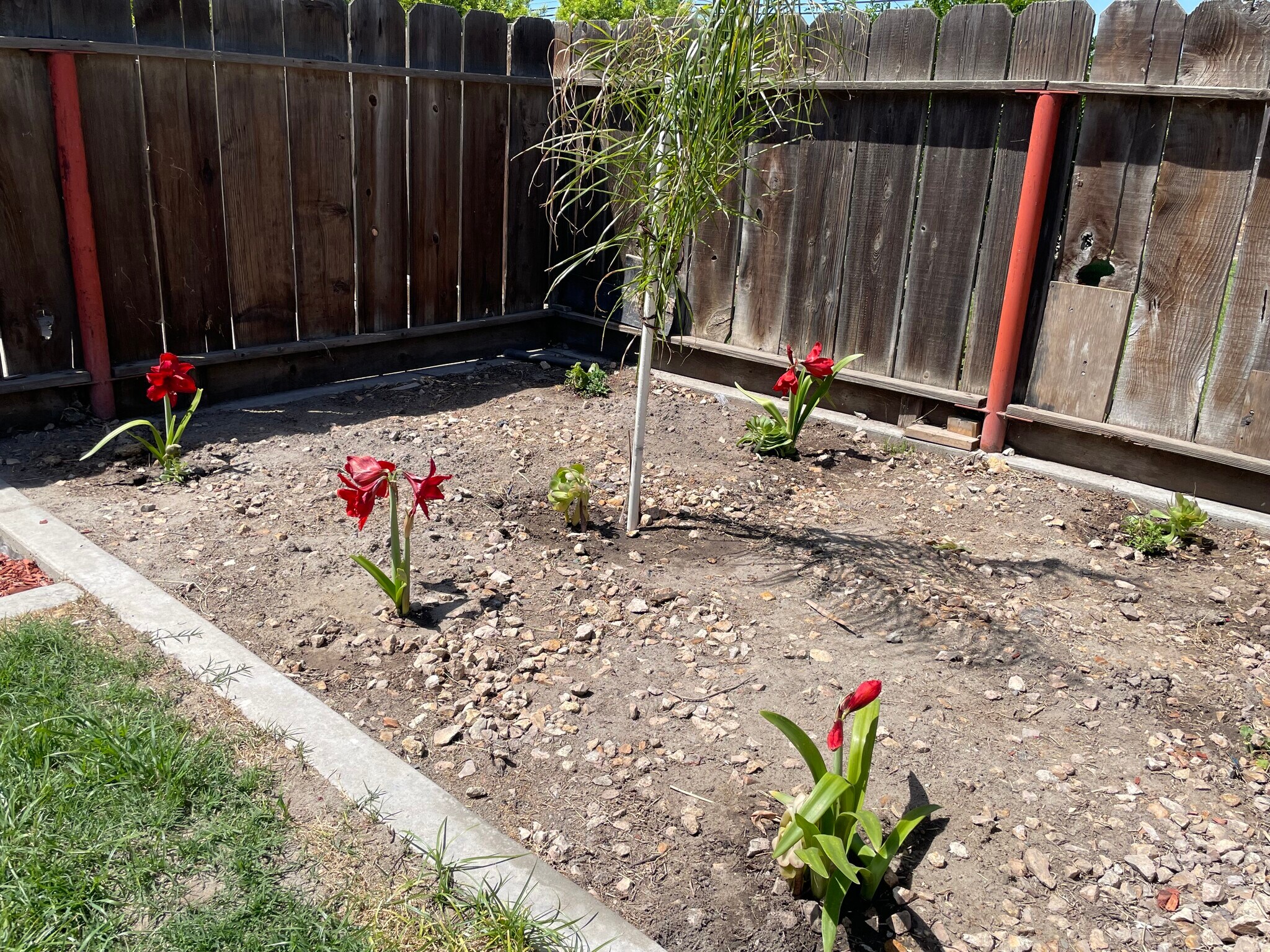 Building Photo - 1500 Van Dorsten Ave