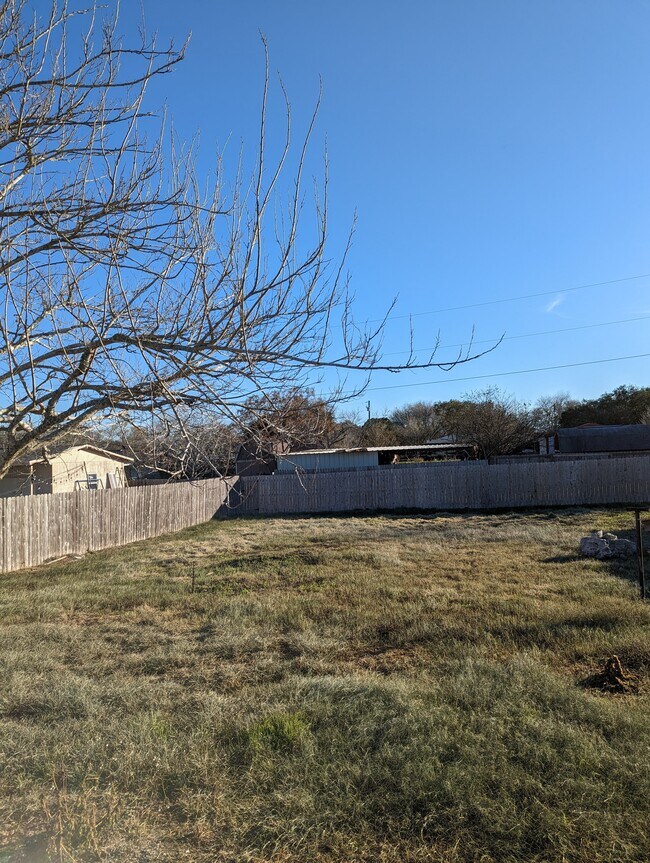 back yard - 107 W Mesquite St