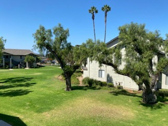 Interior Photo - Cinnamon Woods Apartments
