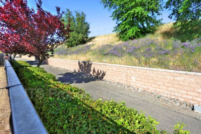 Building Photo - 3403 Oselot Way