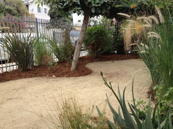 Front yard - 177 Douglas St