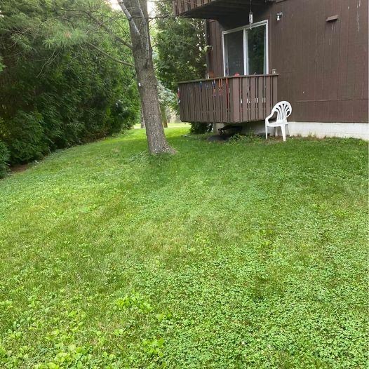 Rear Yard - 808 Southgate Dr