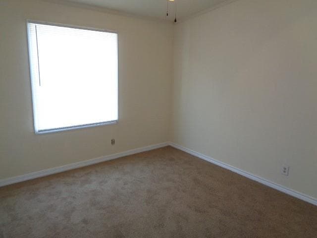 Building Photo - 10027 Berrybriar Ln