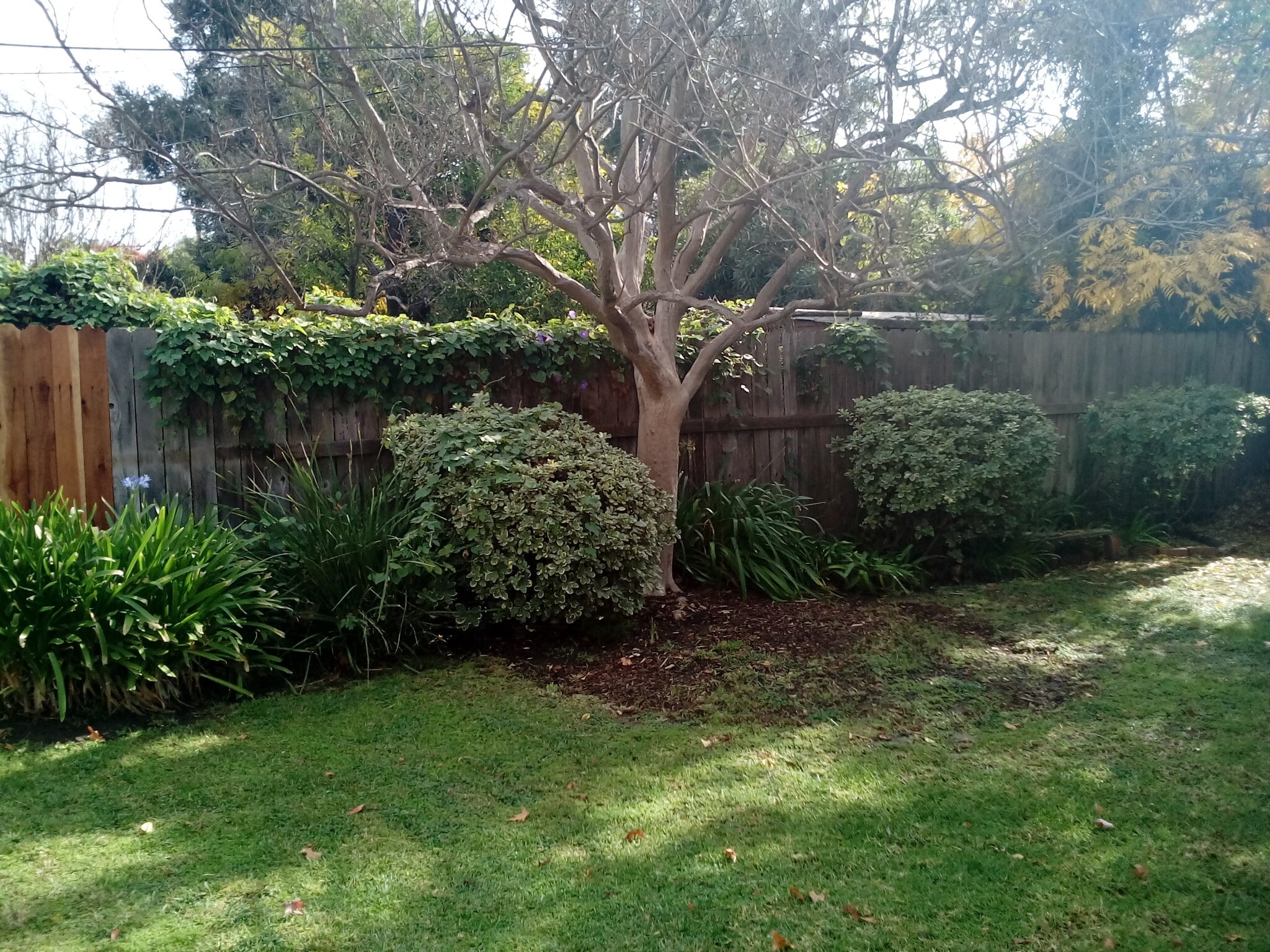Gardening Svc. Included - 14656 Morrison St