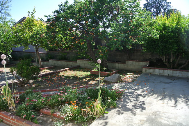 Fruit Tree Area of Backyard - 4815 Cheryl Ave