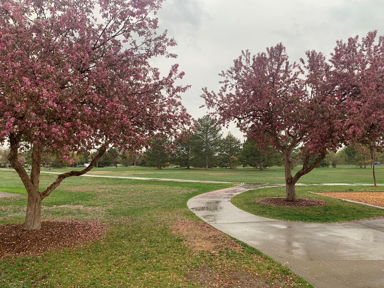 Rainy Day in Garland Park - 1226 S Monaco Pky