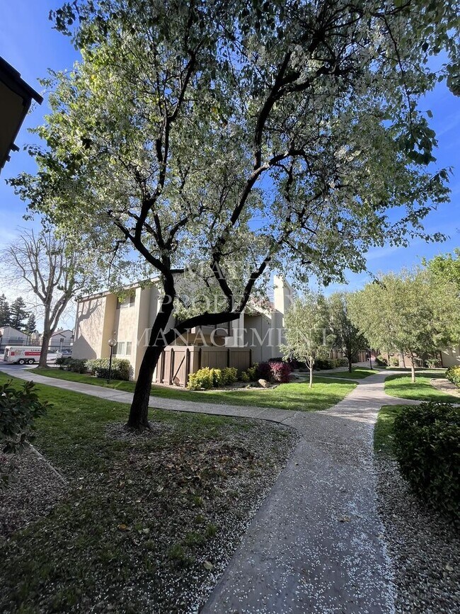 Building Photo - COLO370