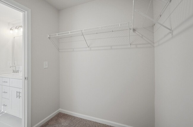 Building Photo - 4BR Home in The Pines at Paw Creek – New Construction + Private Deck