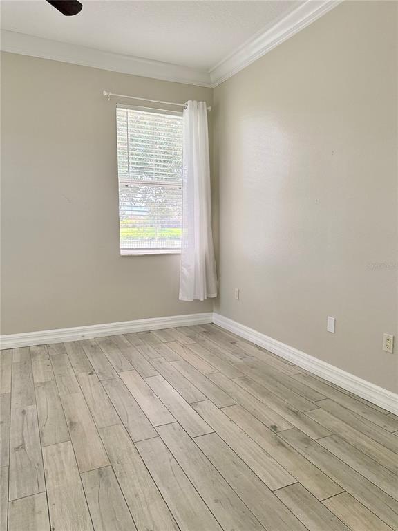 Building Photo - 5247 Moon Shell Dr