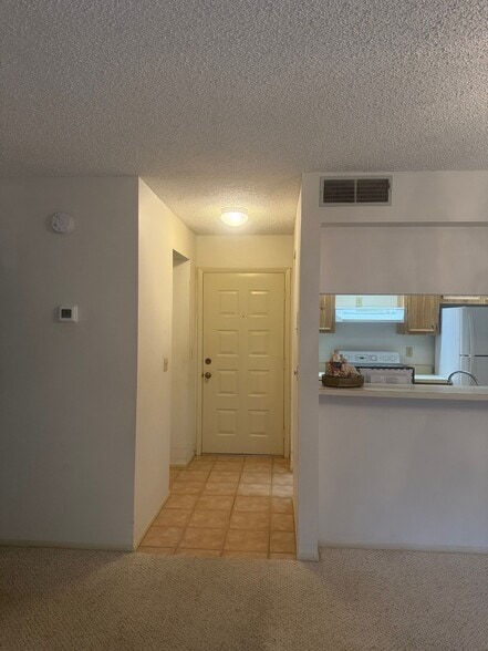 Entry Way - 4207 Winding Moss Trl