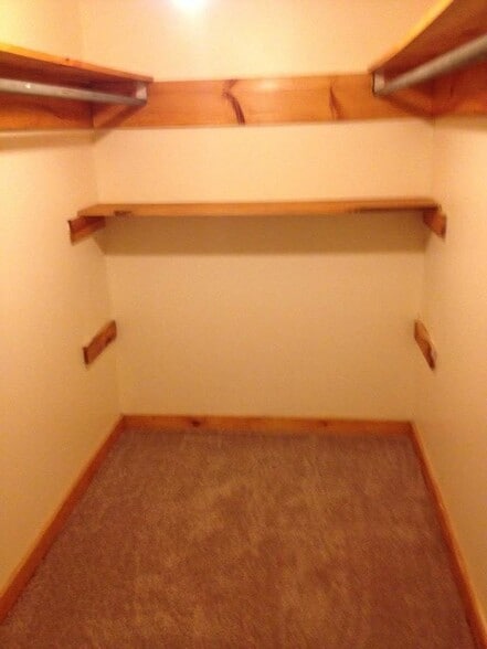 Walk in closet - 1157 S Belfast Ave