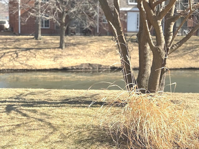 Building Photo - 171 N Clare Ct