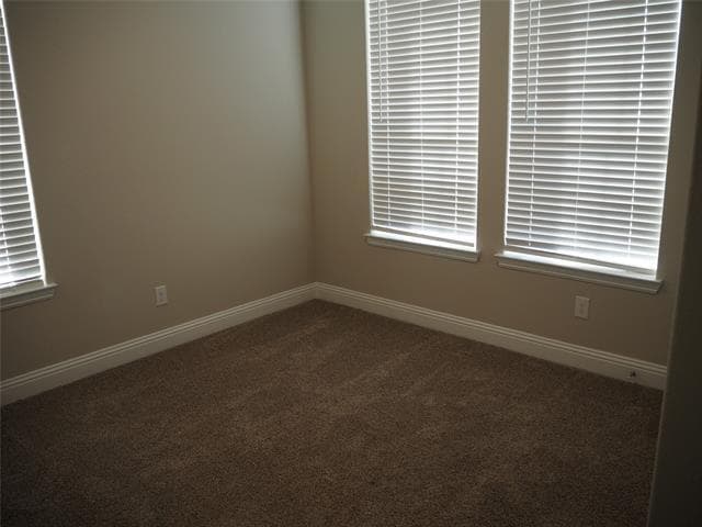 Building Photo - 2505 Starling St