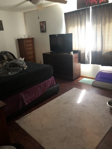 Building Photo - 1113 N Windsor Ave