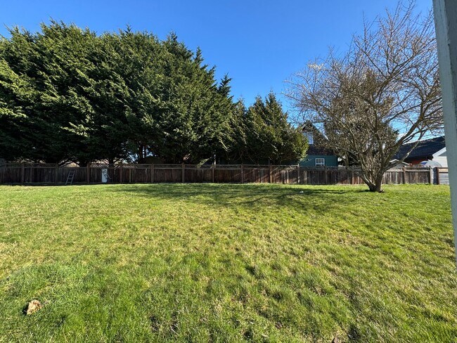 Building Photo - BH T 1335