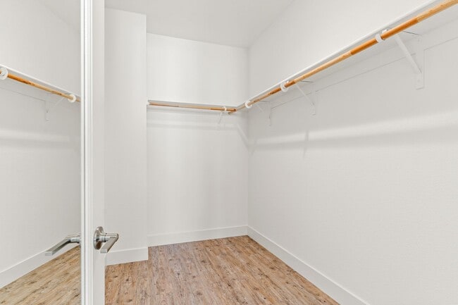 Building Photo - Sun-Filled Corner 4BR w/ Dual Yards & Panoramic Indoor-Outdoor Flow