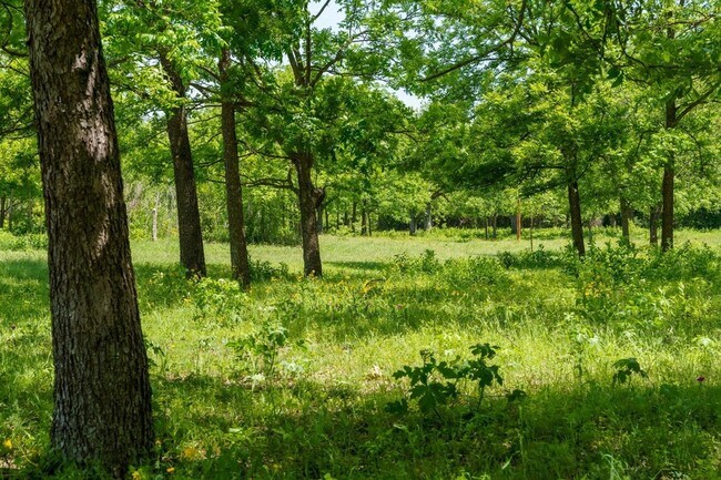 Building Photo - 800 Spur 191