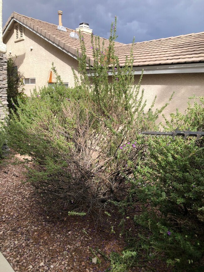 Building Photo - Honey, I’m Home! This Lovely 3 Bedroom, Two-Story Home Is Located In Summerlin.