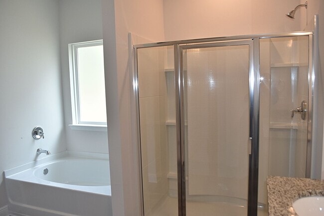 Building Photo - Brand New- 4 Bedroom 2 Bath in Santa Rosa ...