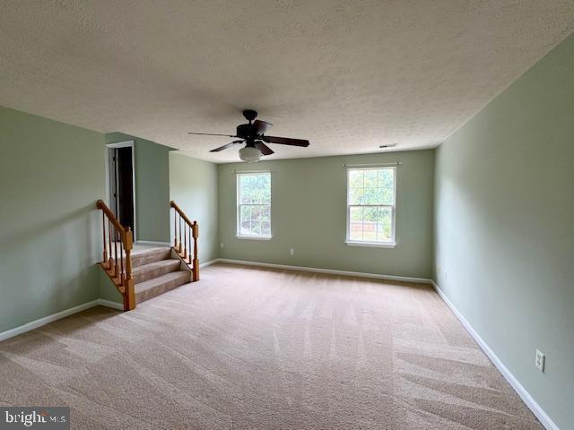 Building Photo - 317 Jackson Dr