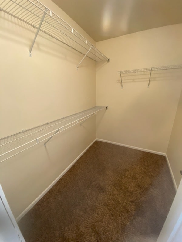 Building Photo - 3125 Copper Ridge Loop