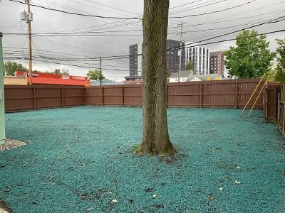 Back Yard - 133 Milford St
