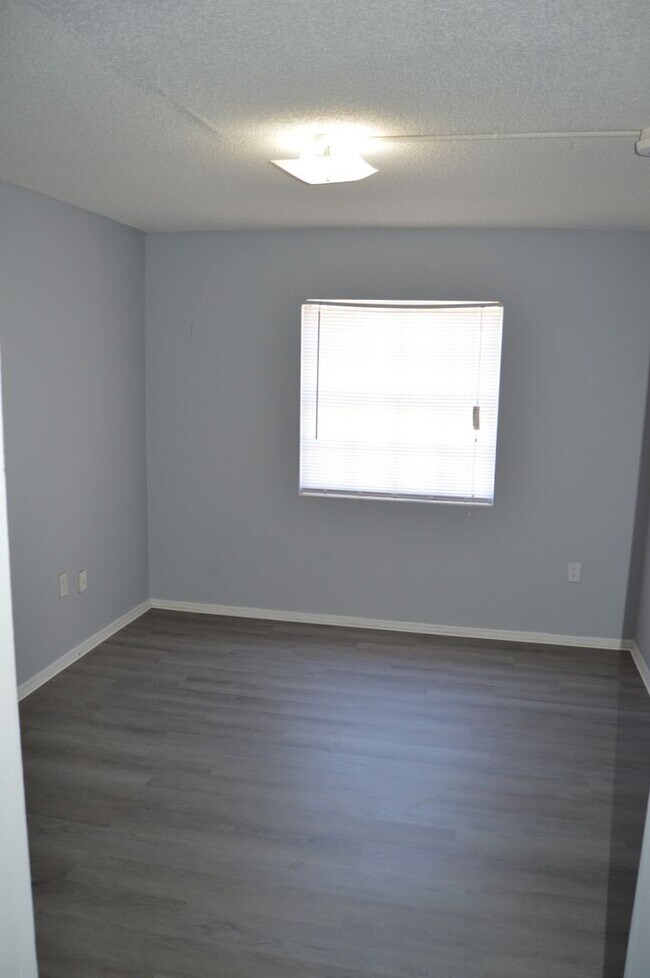 Building Photo - Spacious Studio in Maitland!