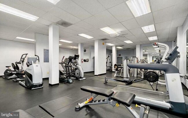 Building Photo - 4515 Willard Ave