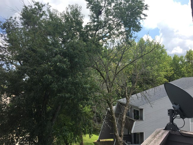Building Photo - 2618 W Willowlake Dr
