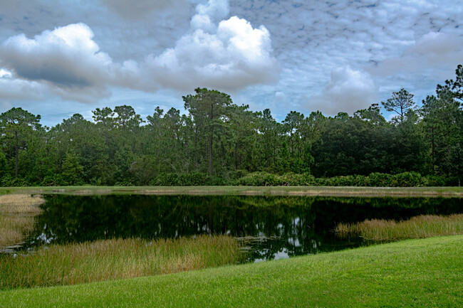 Building Photo - 8608 Fiddleleaf Ct