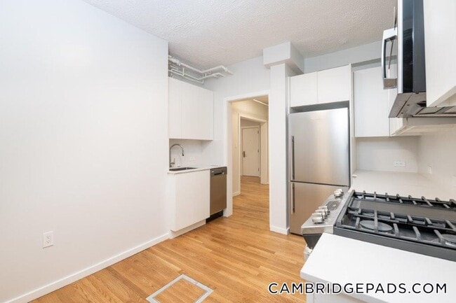 Building Photo - 19 Forest St