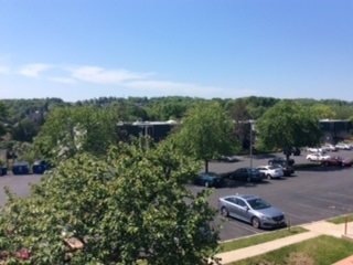 View from the living room - 3531 Forest Lane