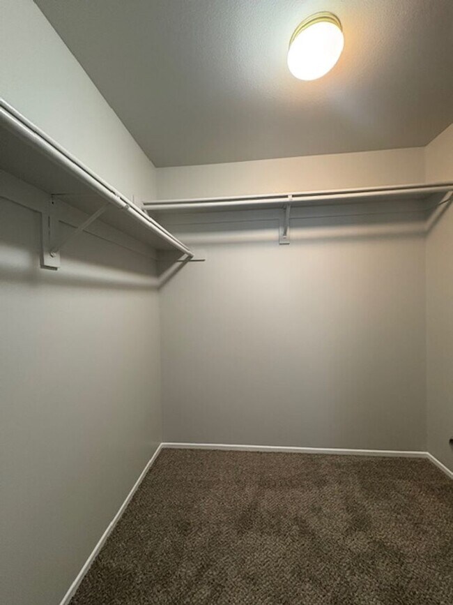 Building Photo - 4 Bedroom with NEW Carpet & Paint
