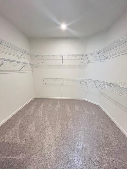 Building Photo - 3810 Knotty Pne St