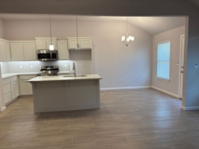 Building Photo - Beautiful New Home!