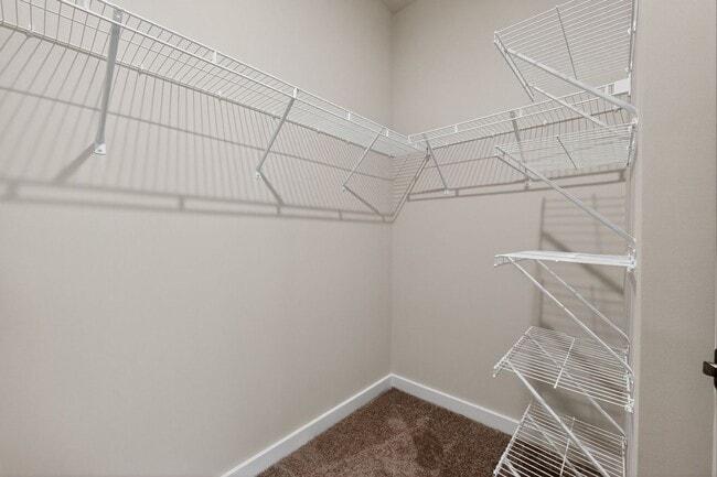 Building Photo - 3154 Finchborough Ct