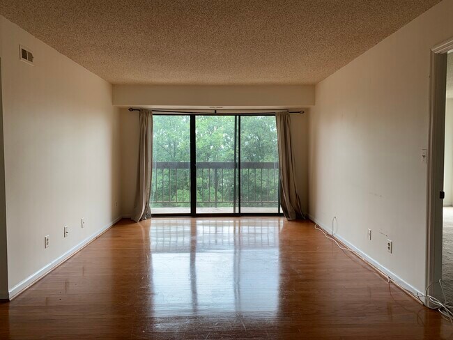 Living room - 807 N Howard St