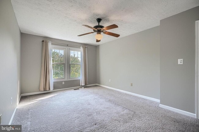 Building Photo - 8301 Whitebark Ct