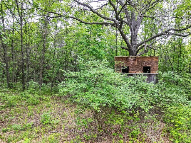 Building Photo - 3 Bedroom house